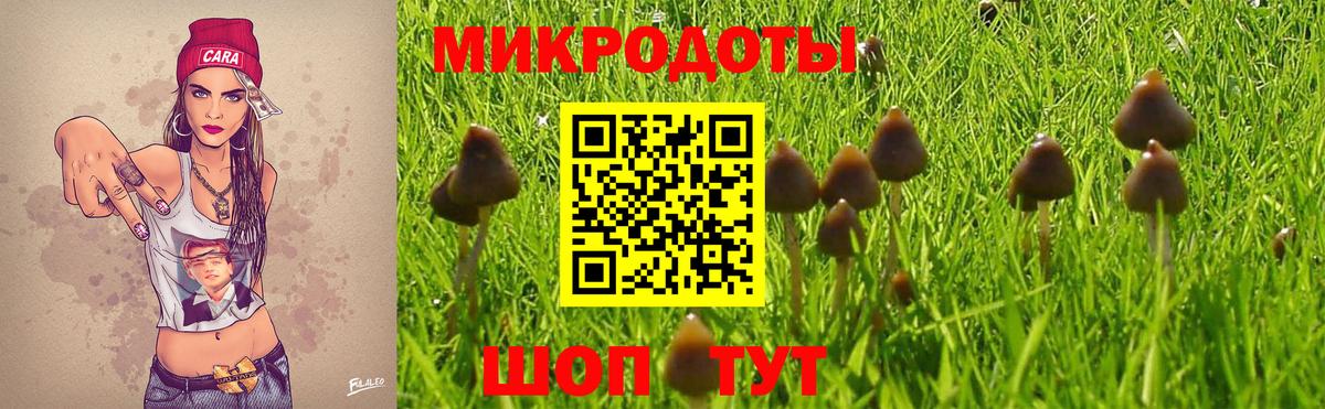 Буйнакск  Галлюциногенные грибы мухоморы  Вход с VPN  Псилоцибиновые грибы ЛСД 