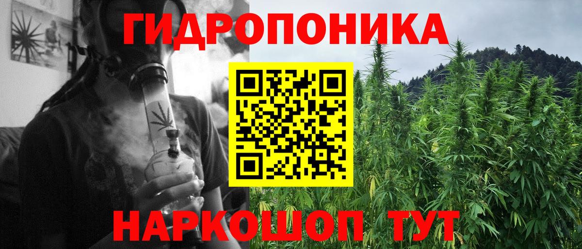 Бошки марихуана ГИДРОПОН  Бошки марихуана конопля  Вход с VPN  Бошки Шишки OG Kush  Буйнакск 